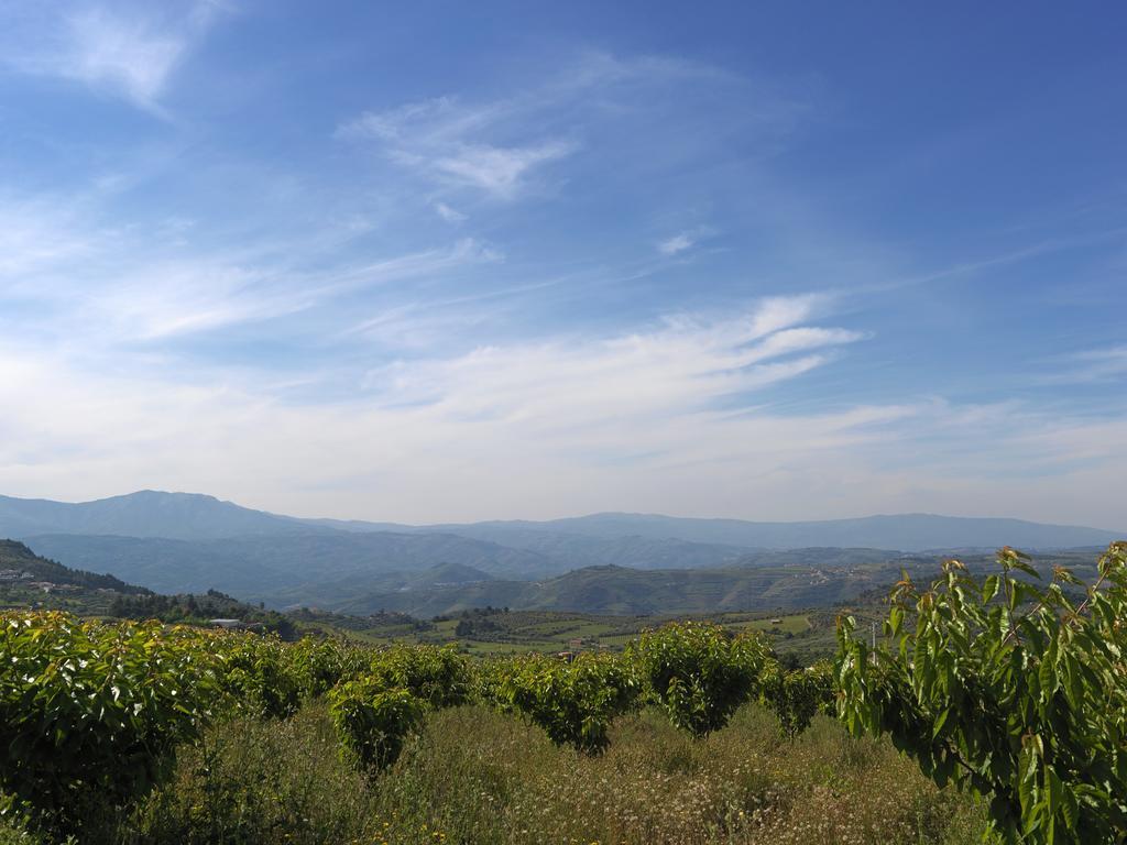 Holiday home Quinta Da Pereira *